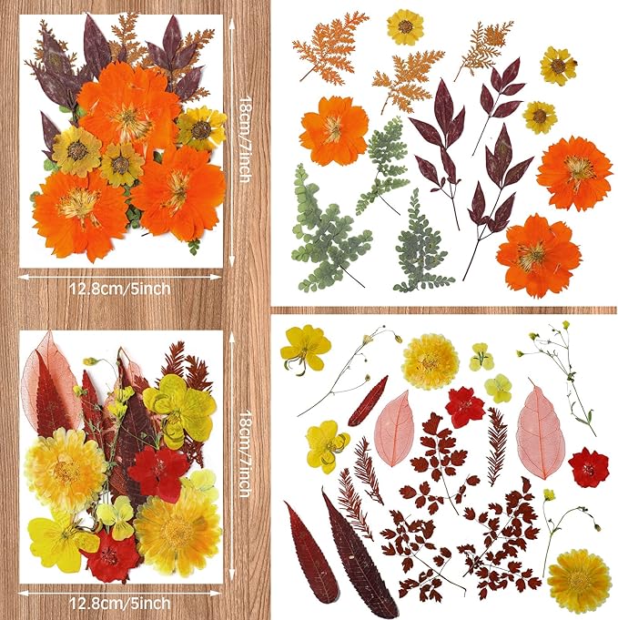 Nuanchu Pressed Flowers Bulk Dried Flower for Crafts, Dried Wildflowers Leave Natural with Tweezer for Resin Mold Scrapbooking Nail Soap Making DIY(Fall Style,Vivid Color)