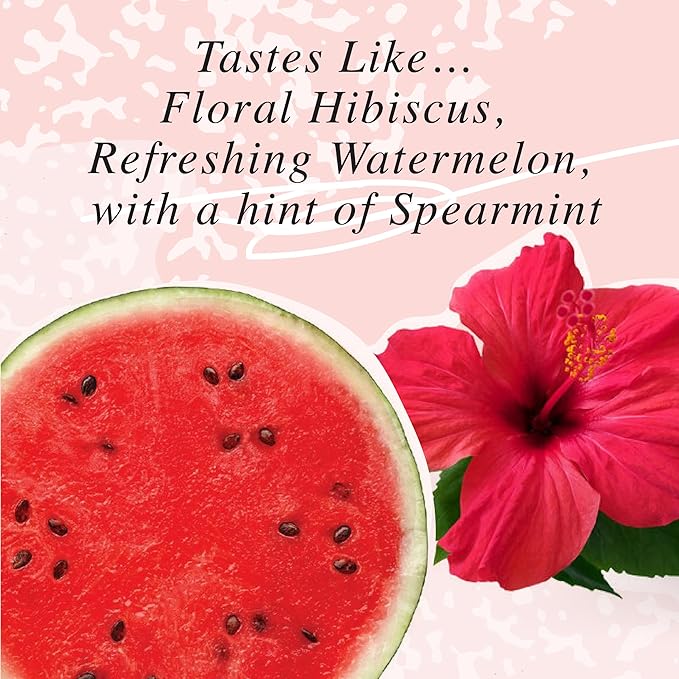 NA Functional Non-Alcoholic Drinks with Mushrooms & L-Theanine | Sea Salt for Hydration | Low Sugar, Low Calorie Adaptogen Social Tonic, Hibiscus Tea and Watermelon Mocktail, 8.4oz Cans (12 Pack)