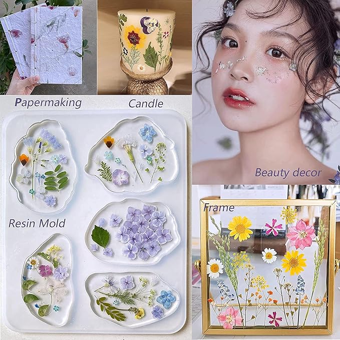 48PCS White Large Real Dried Pressed Flowers Leaves Natural Plant Herbarium for DIY Resin Mold Jewelry Making Craft (12 Styles)