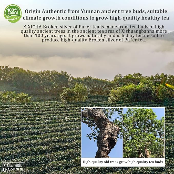 XIXICHA Puerh Tea Premium Broken Silver Ripe Pu-erh Tea Chinese Yunnan Ancient Tree Puer Aged Pu erh Strong Glutinous Rice Fragrance ??´±??碎银子茶 ä¸?›½?Ÿ普洱茶 ?¶化??8.8oz/250g