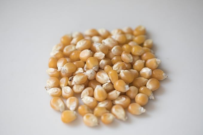 Amish Country Popcorn | 2-14 oz Bottles | Mushroom Popcorn Kernels | Old Fashioned, Non-GMO and Gluten Free (2-14 oz Bottles)