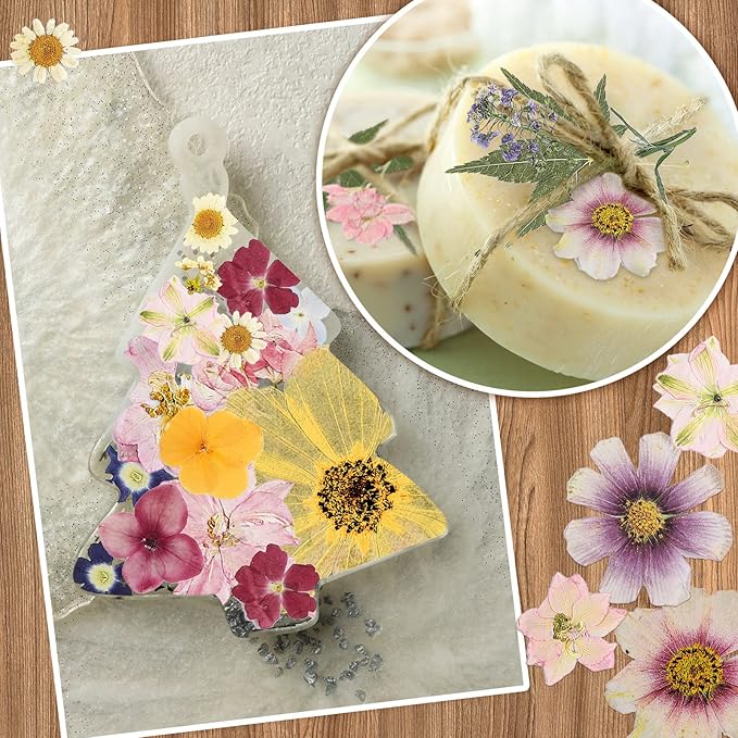 Nuanchu Pressed Flowers Bulk Dried Flower for Crafts, Dried Wildflowers Leave Natural with Tweezer for Resin Mold Scrapbooking Nail Soap Making DIY(Fashion Style,Trend Color)