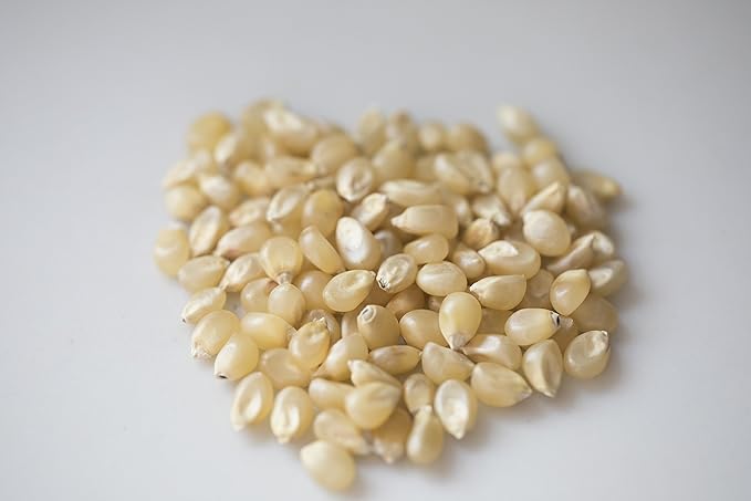 Amish Country Popcorn | 3-2 lb Bags | Medium White Popcorn Kernels | Old Fashioned, Non-GMO and Gluten Free (3-2 lb Bags)