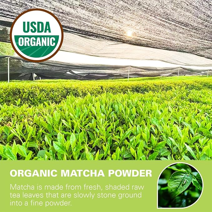 WT WEETEE Organic Matcha Green Tea Powder To-Go Travel Sticks, Organic Unsweetened Matcha Powder 50 Count (2g Each), Highly Caffeinated Energy-Boosting