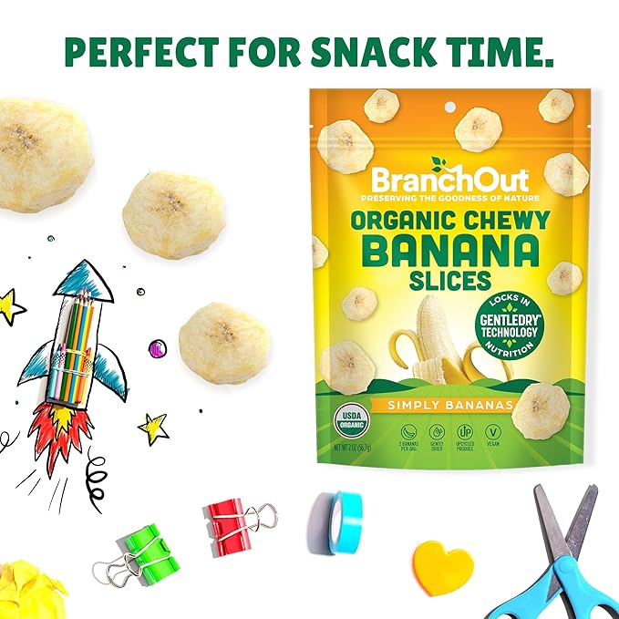 BranchOut Chewy Banana Slices, No Sugar Added, GentleDry Locks in Nutrition, Better than Freeze Dried Banana Chips, Healthy Vegan Fruit Snacks for Kids & Adults, 2 oz Snack Size (Pack of 4)