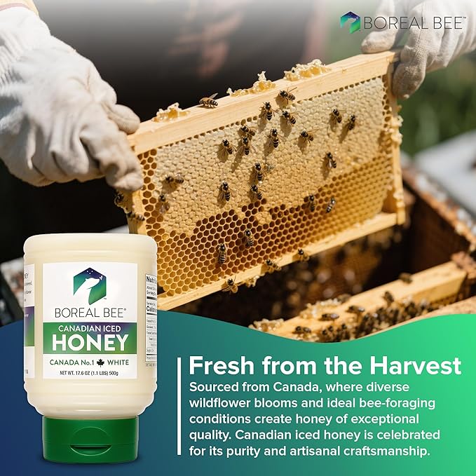 Boreal Bee Canadian Iced Honey – Smooth White Creamed Honey from Prairie Wildflowers Like Clover & Canola, Cold Bottled, Raw, Natural & Unfiltered, Never Heated, 35.2oz (2 Pack)