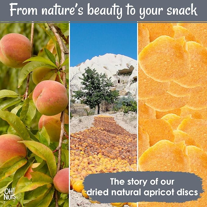 Oh! Nuts Dried Apricot Luscious Natural - 1 lb - Dried Fruit Discs - Sweetened Thin Apricot Slices - Dehydrated Fruit Bites - Packed in New York Zip-Seal Bag for Exceptional Freshness