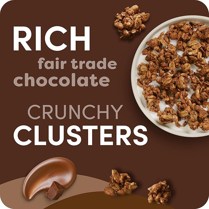 Kashi GO Protein Cereal, 10g Protein, 10g Fiber, Chocolate Crunch, 16oz Box (1 Box)