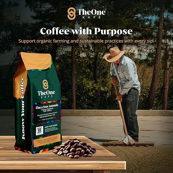 TheOne Kafé Guatemala Dark Roast Whole Bean Coffee ??Organic, Single Origin, Premium Specialty Coffee and Ethically Sourced ??Fresh Roasted for Espresso, Drip, Pour Over ??12 oz (Pack of 2)