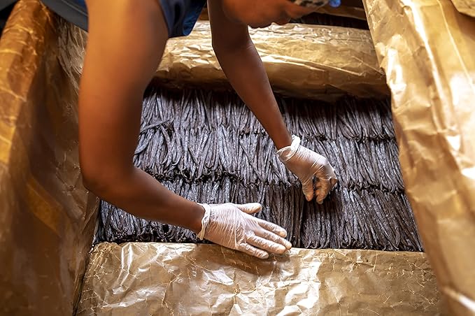 50 Grade A Vanilla Beans - Gourmet Vanilla Beans in a Resealable Pouch