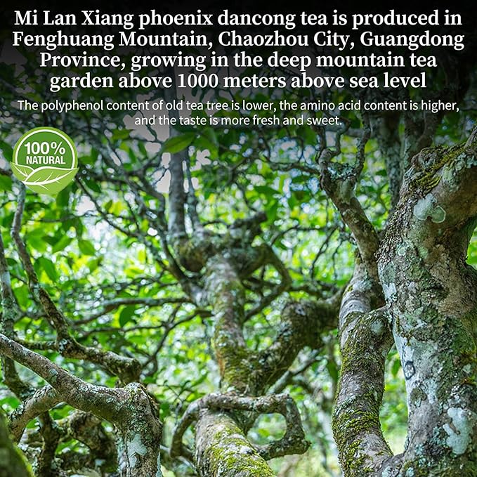 XIXICHA Phoenix Dancong Oolong Tea 120g/4.23oz Honey Orchid Mi Lan Xiang Phoenix Oolong Tea Loose Leaf Chinese Tea Chinese High Mountain Strong Floral Flavor ?ë°?²¨??µ눖?뺞옚 ?¿뚪????뺜툤?????�阿??¼�?뺞옚??¹뤆