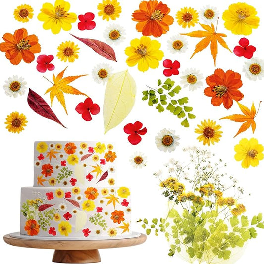 96 Pcs Fall Natural Dried Pressed Flowers for Cake Topper Decorating Cupcake Toppers Cocktails Resin Jewelry Making DIY Art Crafts