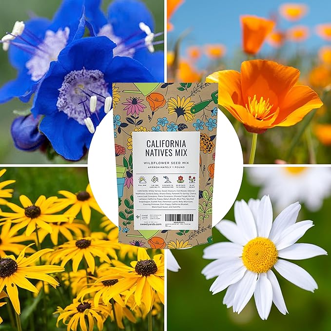 California Natives Mix - Bulk 1 Pound Bag - Over 120,000 Native Seeds - Open Pollinated and Non GMO