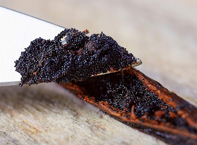 25 Vanilla Beans - Whole Extract Grade B Pods for Baking, Homemade Extract, Brewing, Coffee, Cooking - Tahitian