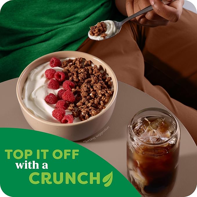 Kashi GO Protein Cereal, 10g Protein, 10g Fiber, Chocolate Crunch, 16oz Box (1 Box)