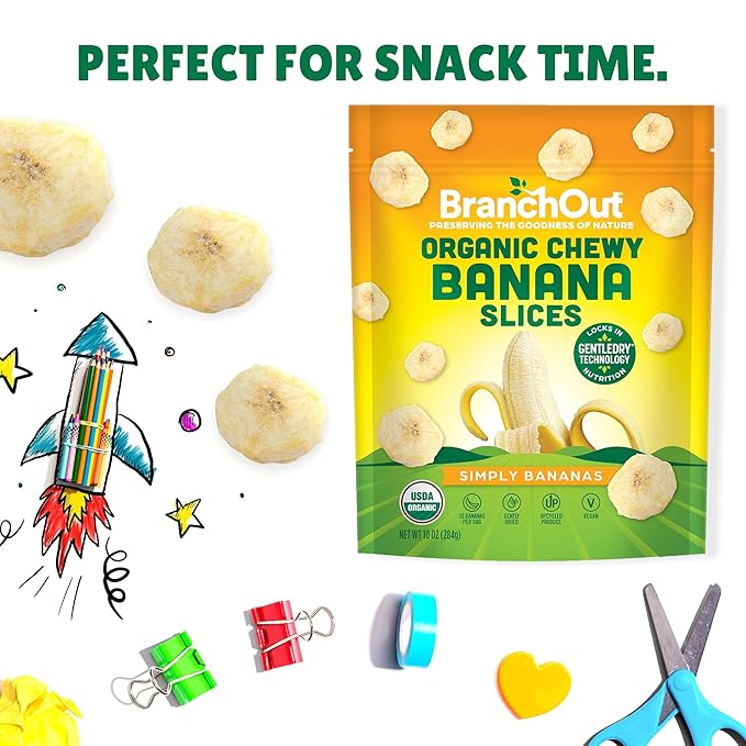 BranchOut Chewy Banana Slices, No Sugar Added, GentleDry Locks in Nutrition, Better than Freeze Dried Banana Chips, Healthy Vegan Fruit Snacks for Kids & Adults, 10 oz Party Bag
