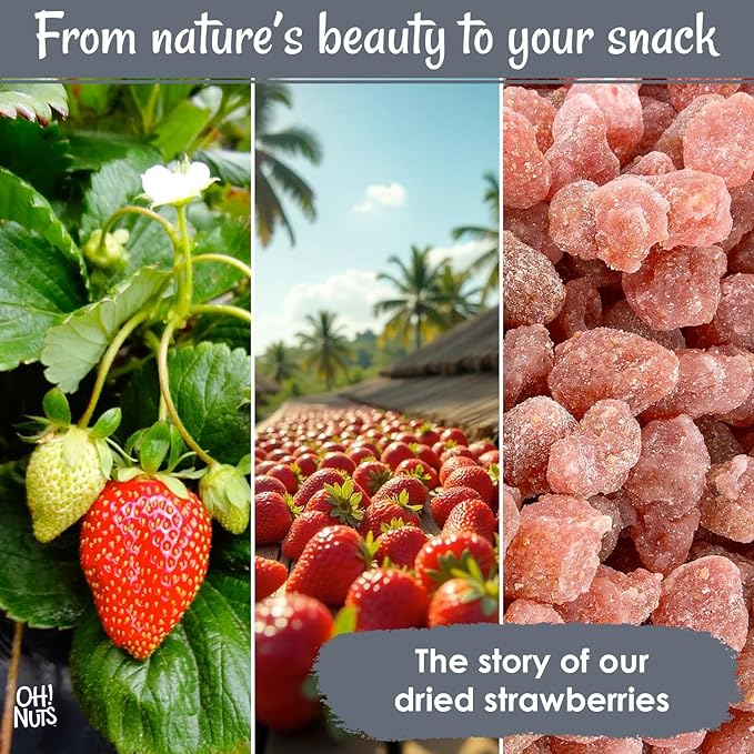 Oh! Nuts Dried Strawberries - 1 LB - Sweetened Dried Fruit - Dehydrated Fruit Bites - Packed in New York Zip-Seal Bag for Exceptional Freshness