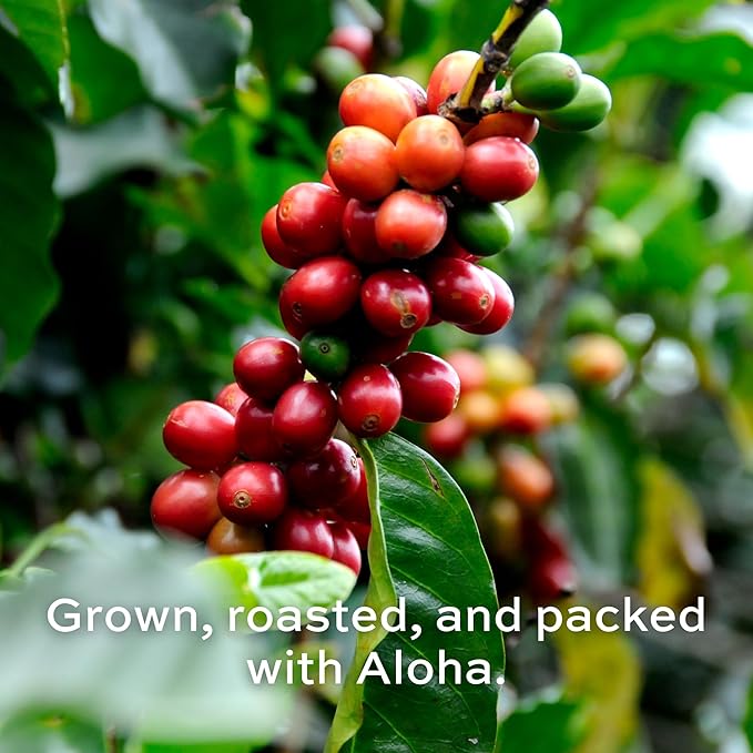 Royal Kona Roy's Pacific Coast, 10% Kona Coffee Blend, Medium-Dark Roast Single-Serve Coffee Pods, Compatible with Pod Brewing Systems, A Taste of Aloha - (12 Count Box)