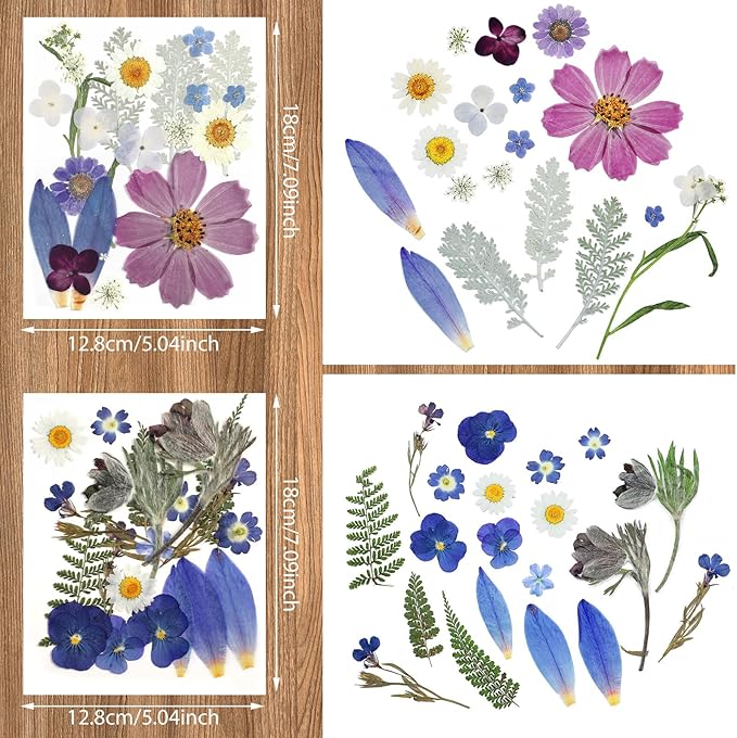 Nuanchu Pressed Flowers Bulk Dried Flower for Crafts, Dried Wildflowers Leave Natural with Tweezer for Resin Mold Scrapbooking Nail Soap Making DIY(Exquisite Style,Bright Color)