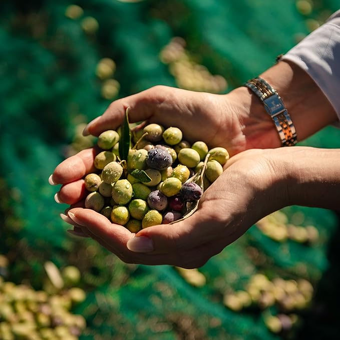 Rastrello Umbrian Heritage Extra Virgin Olive Oil - 500ml, Organic, Cold-Pressed, Hand-Harvested - Leccino & Moraiolo Blend from Umbria, Italy (2 Liter Bag in Box)