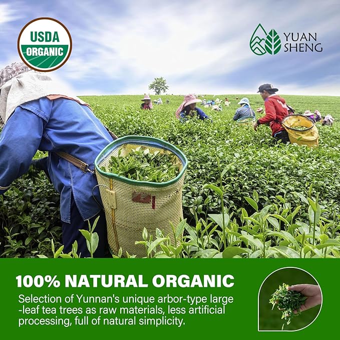 YUANSHENG Premium Organic White Tea,Chinese Silver Needle Loose Leaf White Tea, Premium Silver Tips Loose Leaf Tea With Pekoe Flavour, Rich in Antioxidants, 2.1 Oz