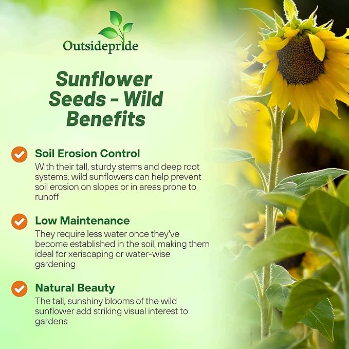 Outsidepride Wild Sunflower Seeds for Planting - 1 lb. Annual, Easy to Grow Flower Seeds w/Vibrant, Abundant Blooms for Cut Flower Arrangements & Pollinator & Vegetable Gardens