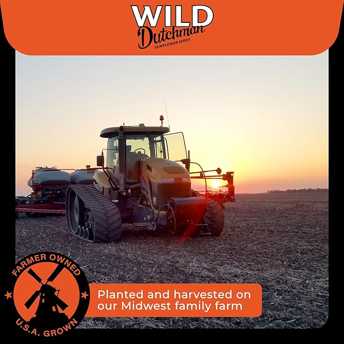 Wild Dutchman Roasted Sunflower Seeds in a Resealable Bag for Ultimate Freshness and an Easy Pour Snack, Salted Original Flavor, 3 LB (Pack of 3)