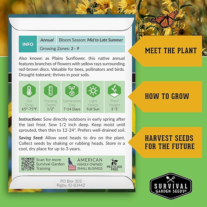 Survival Garden Seeds - Native Prairie Sunflower (Helianthus petiolaris) | Compact Drought Tolerant | Pollinator Magnet | Non-GMO Wildflower - 1 Pack