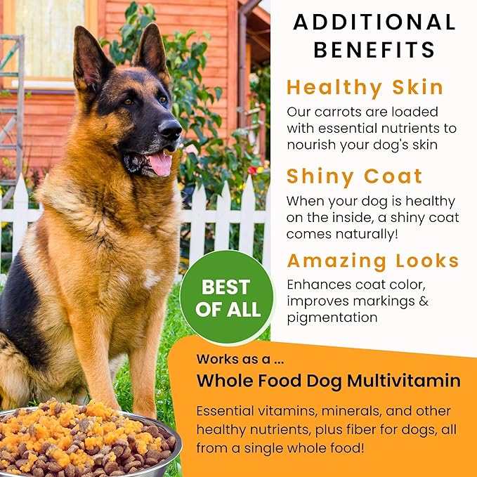 Olewo Original Carrots for Dogs ??Fiber for Perfect Poop, Dehydrated Dog Food Toppers for Picky Eaters, Natural Skin & Coat Support, Multivitamin, Probiotics for Digestive & Gut Health, 2.2 lbs