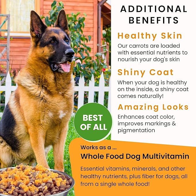 Olewo Original Carrots for Dogs ??Fiber for Perfect Poop, Dog Food Toppers for Picky Eaters, Natural Skin & Coat Support, Multivitamin, Probiotics for Digestive and Gut Health, 5.5 lbs