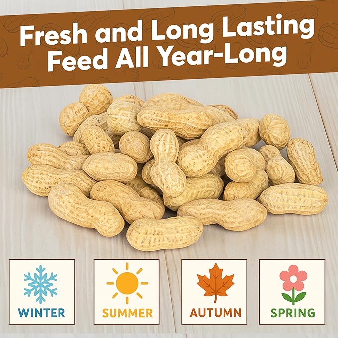 2 LB - Raw Peanuts For Squirrels, Raw In Shell Peanuts For Birds and Wildlife- Squirrel Food, Wild Bird Seed - Grown in The USA