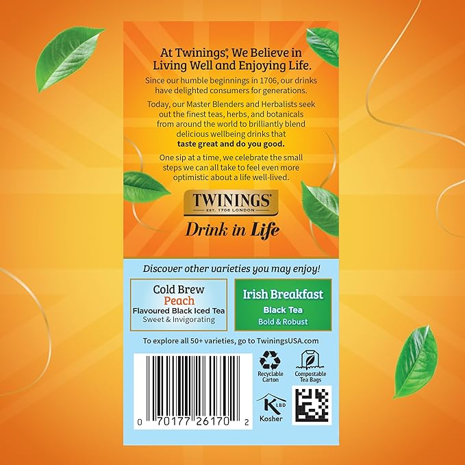 Twinings Mint Green Cold Brewed Iced Tea Bags, 20 Count (Pack of 1), Unsweetened Flavoured Green Tea, Caffeinated, 20 Teabags