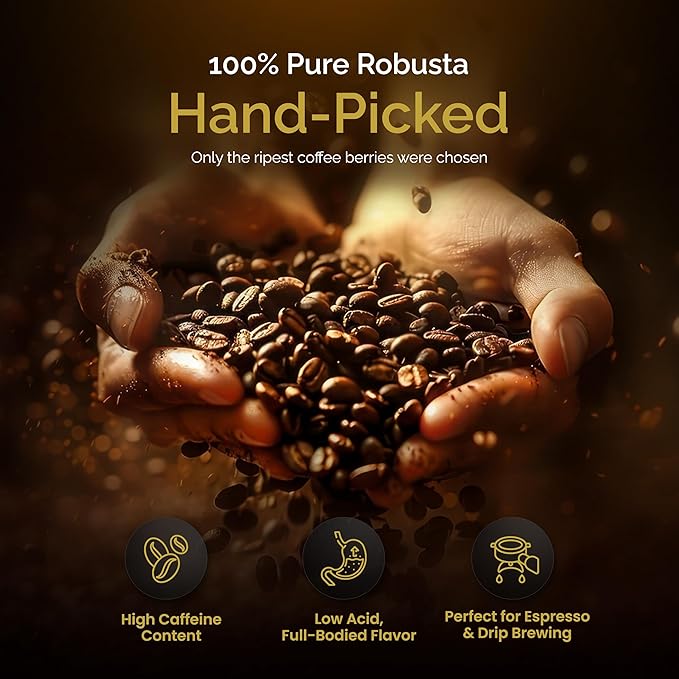 Birdee Robusta Coffee Beans ??16 oz, Medium Roast, Whole Bean, 100% Robusta, Low Acid, High Caffeine, Single Origin, Fine Robusta Standard, Hand Picked from Vietnam