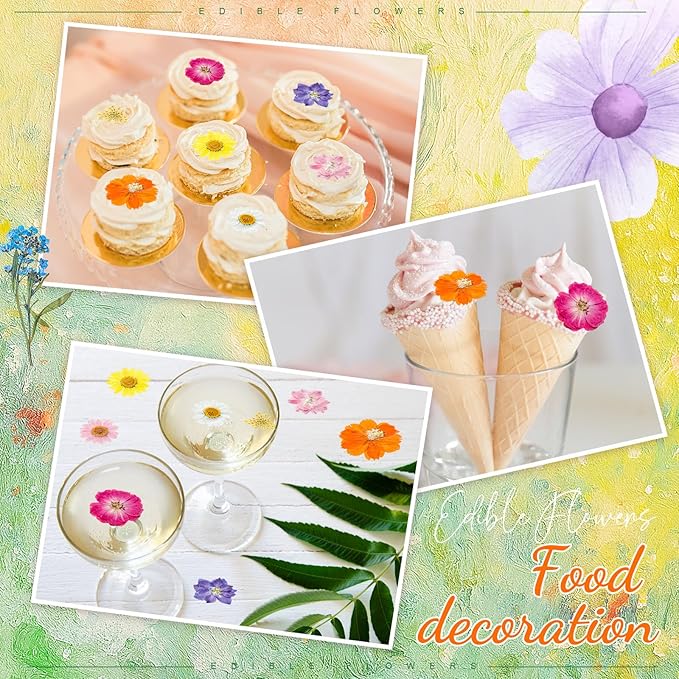96 Pcs Natural Dried Pressed Flowers for Cake Topper Decorating Cupcake Toppers Cocktails Resin Jewelry Making DIY Art Crafts