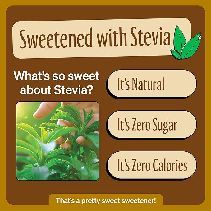Zevia Zero Sugar Soda, Creamy Root Beer, 12 oz Cans (24-Pack) ??Naturally Sweetened, Non-GMO Project Verified, Gluten-Free, Vegan