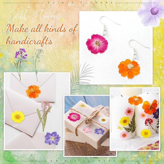 96 Pcs Natural Dried Pressed Flowers for Cake Topper Decorating Cupcake Toppers Cocktails Resin Jewelry Making DIY Art Crafts