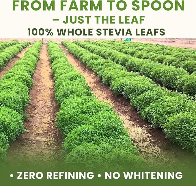 bixa Botanical Stevia Leaf Powder (Stevia Rebaudiana) Natural Herbal Supplement | Natural Alternative of Unprocessed Sugar | Gluten Free, Non-GMO, Steam Treated, Vegan pure 16 Ounce Pack of 1