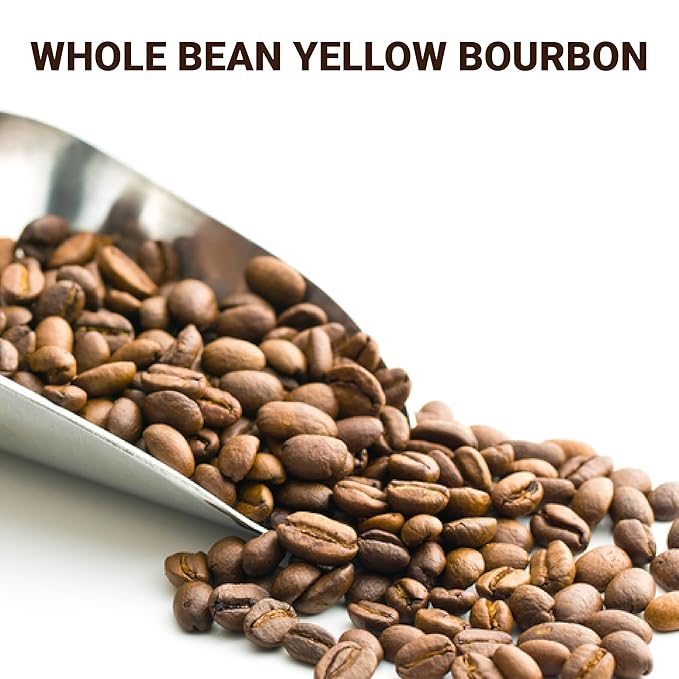 doanhdang - 17 Oz Premium Yellow Bourbon Whole Bean Coffee, 100% Medium Roast, Rich Flavor for Espresso Shot and Brew, Origin from Vietnam, Whole Med Roast Beans, Pack of 1, Phin Filter Included