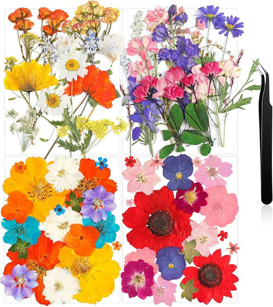 Nuanchu Pressed Flowers Bulk Dried Flower for Crafts, Dried Wildflowers Leave Natural with Tweezer for Resin Mold Scrapbooking Nail Soap Making DIY(Elegant Style,Bright Colors)