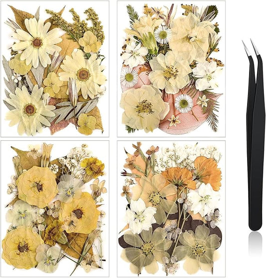 Nuanchu Pressed Flowers Bulk Dried Flower for Crafts, Dried Wildflowers Leave Natural with Tweezer for Resin Mold Scrapbooking Nail Soap Making DIY(Retro Style,Warm Color)