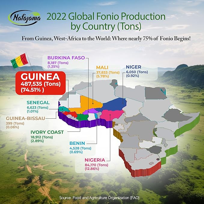 Nafajama Premium Gluten-Free White Fonio Flour | Ancient African Superfood | All-Natural, Non-GMO, Vegan, High-Fiber ??1 Bag of 110 lb / 50 kg