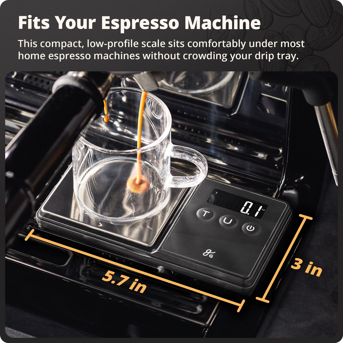 Greater Goods Digital Espresso Scale with 0.1g Precision, 750g Capacity
