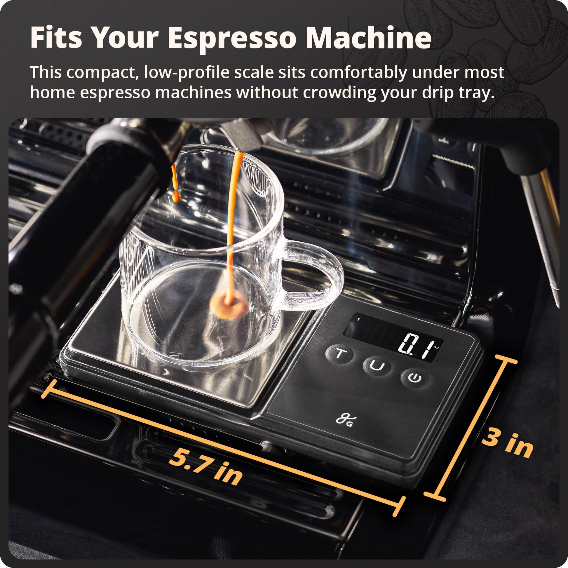 Greater Goods Digital Espresso Scale with 0.1g Precision, 750g Capacity