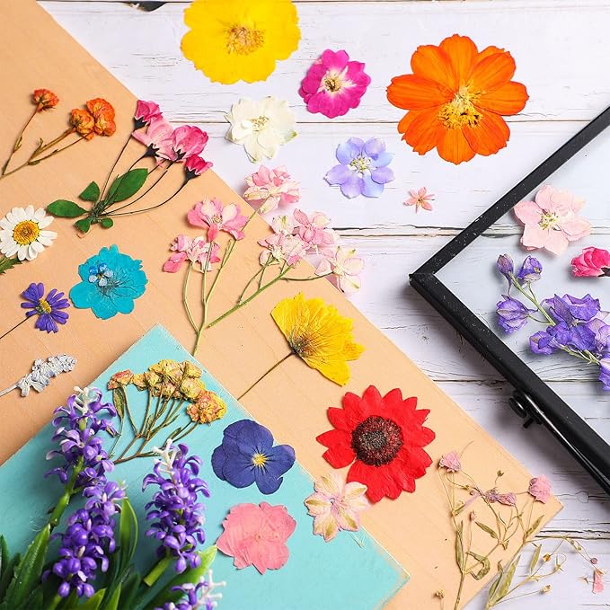 Nuanchu Pressed Flowers Bulk Dried Flower for Crafts, Dried Wildflowers Leave Natural with Tweezer for Resin Mold Scrapbooking Nail Soap Making DIY(Elegant Style,Bright Colors)