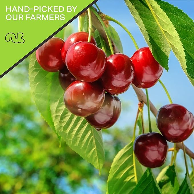 NUT CRAVINGS - Sun Dried Sour Tart Cherries, Lightly Sweetened, Unsulphured (80oz, 5 LB) Bulk Dry Fruits Packed Fresh in Resealable Bag - Sweet Healthy Snack, Naturally Grown, Vegan, Kosher