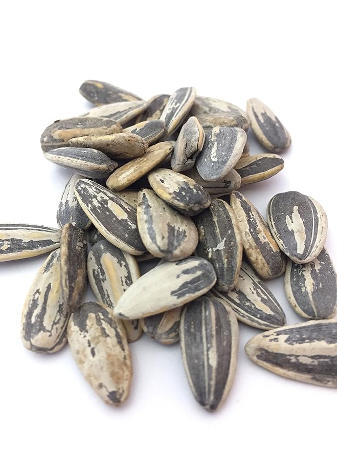 Bricktown Goods Salt and Balsamic Vinegar Flavored Sunflower Seeds - 3 Pack - Boldly Seasoned and Roasted In-Shell Sunflower Seeds - 24 oz Total