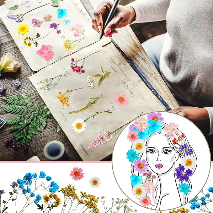 Nuanchu Pressed Flowers Bulk Dried Flower for Crafts, Dried Wildflowers Leave Natural with Tweezer for Resin Mold Scrapbooking Nail Soap Making DIY(Delicate Style,Bright Colors)