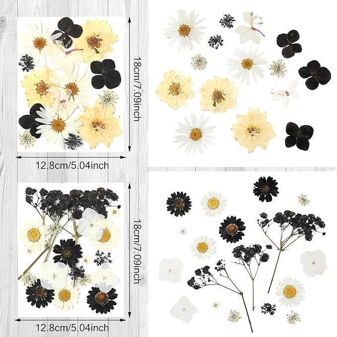 Nuanchu Pressed Flowers Bulk Dried Flower for Crafts, Dried Wildflowers Leave Natural with Tweezer for Resin Mold Scrapbooking Nail Soap Making DIY(Austere Style,Black Color)