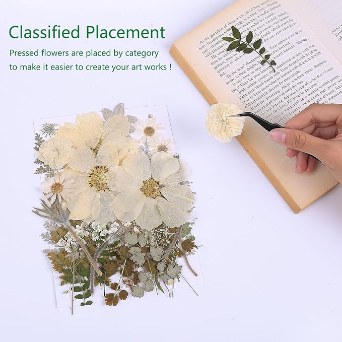 48PCS White Large Real Dried Pressed Flowers Leaves Natural Plant Herbarium for DIY Resin Mold Jewelry Making Craft (12 Styles)