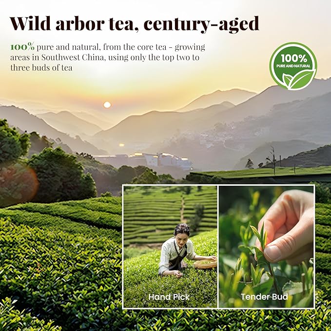 The Spring Tea Premium Grade Ancient Tree Black Tea & Jasmine Tea From Wild 300+ Year Old Tree, Loose Leaf with Dual Tea Collection, Just harvested in Spring 2025, Exquisite, Handpicked, Gift Package, 3.5oz/100g